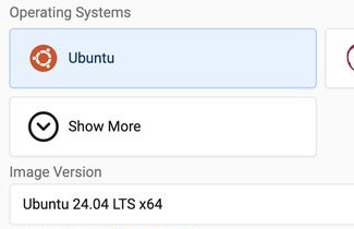 Vultr 운영체제 선택 화면. Ubuntu가 선택되어 있고 Image Version이 Ubuntu 24.04 LTS x64